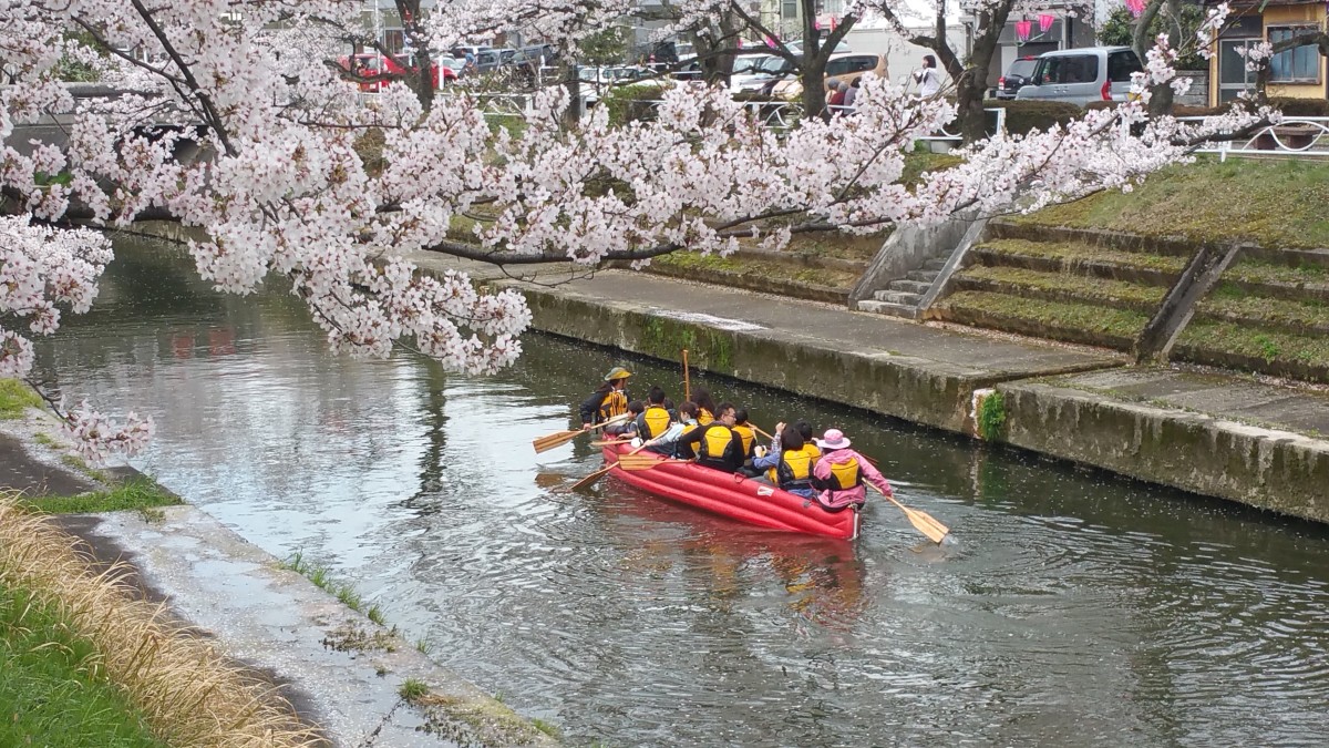 Eボート桜クルーズ2016を実施いたしました。
